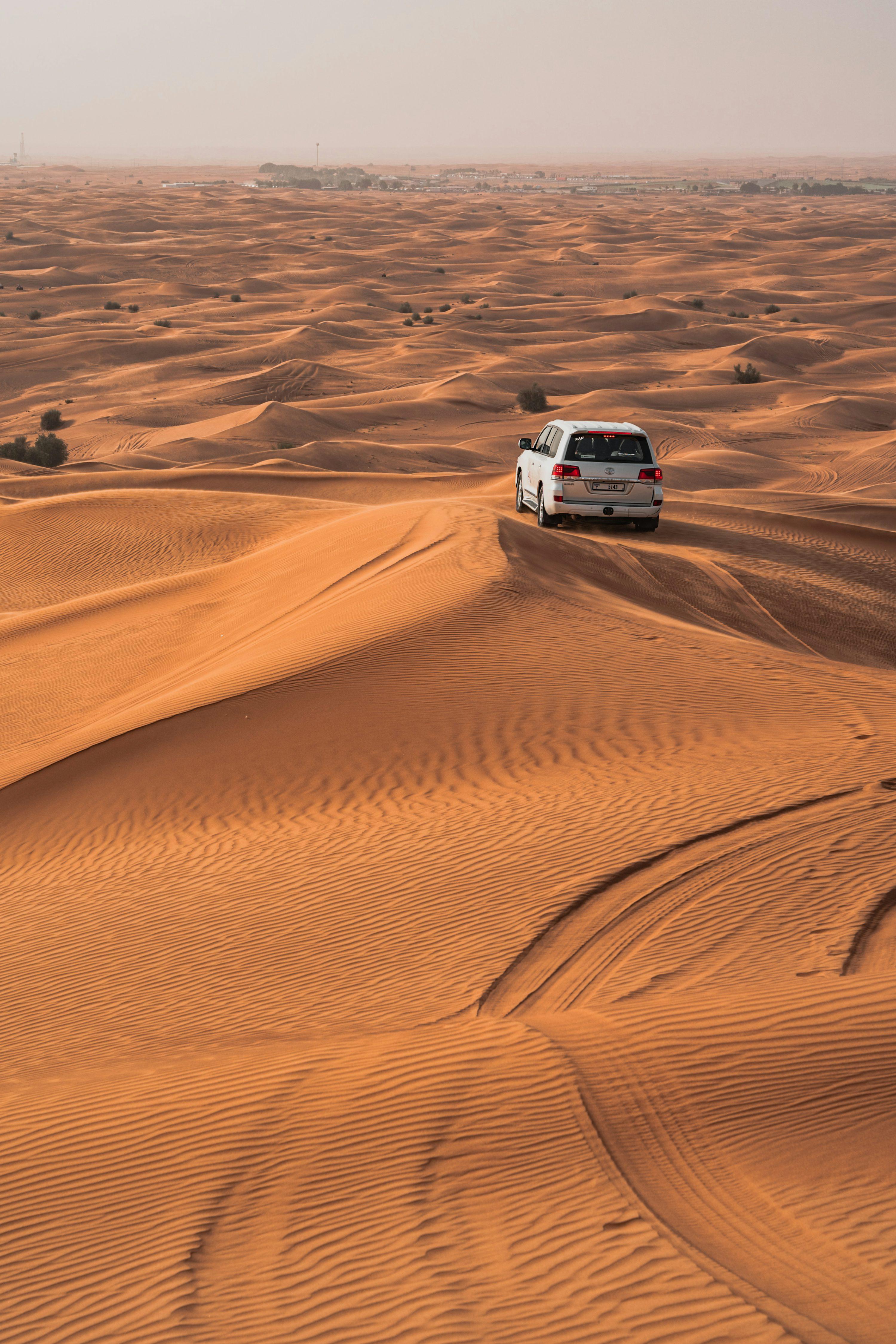Dubai thumbnail 2