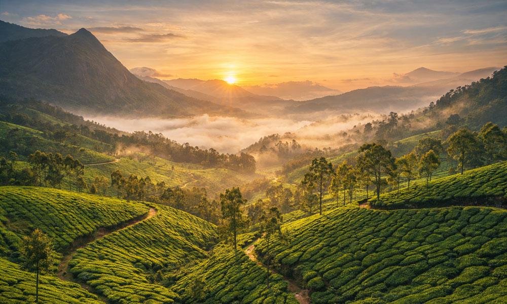 Kerala - Day 1